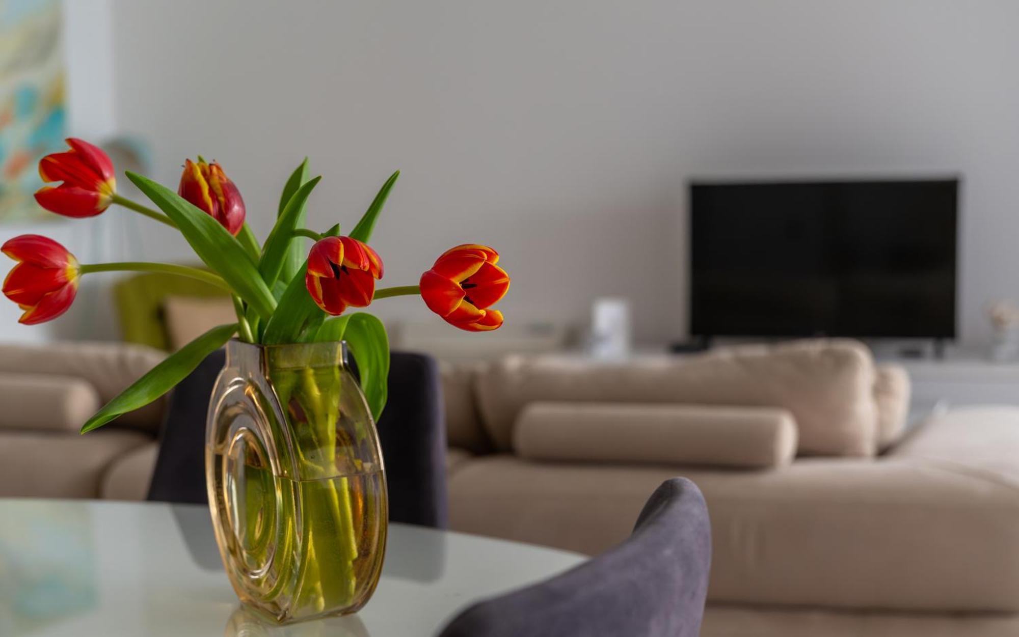 Amare Luxury Apartments Budva Zewnętrze zdjęcie